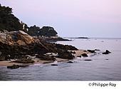 85F04004.jpg