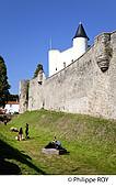 85F04230.jpg