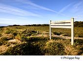 85F05106.jpg