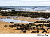 85F05107.jpg