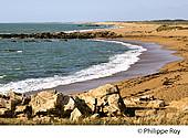 85F05111.jpg