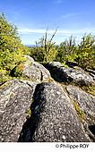 87F02539.jpg
