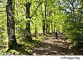 87F02601.jpg