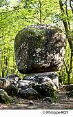 87F02608.jpg