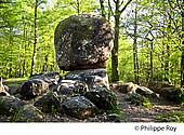 87F02611.jpg