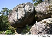 87F02617.jpg
