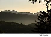 90F00417.jpg