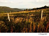 90F00436.jpg