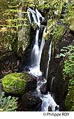 90F00510.jpg