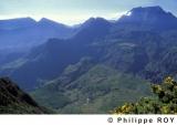97F00131.jpg