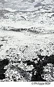 CA000411.jpg