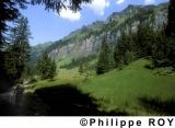 CH000234.jpg