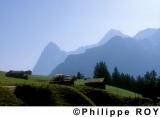 CH000301.jpg