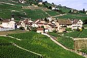 CH001311.jpg