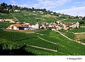 CH001312.jpg