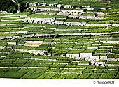 CH001333.jpg