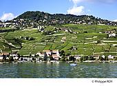 CH001339.jpg