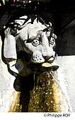 CH001902.jpg