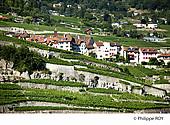 CH002011.jpg