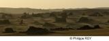 DZ001423.jpg