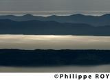 HR001201.jpg