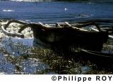 ID000202.jpg