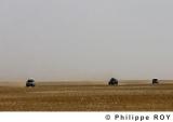 LY000318.jpg