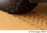 LY000439.jpg