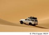 LY000539.jpg