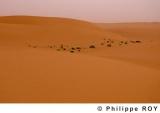 LY000608.jpg
