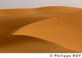 LY000617.jpg