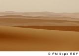 LY000620.jpg