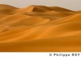 LY000623.jpg