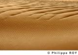 LY000625.jpg