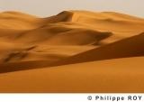 LY000629.jpg