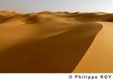 LY000630.jpg