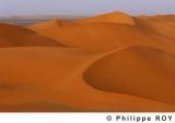 LY000633.jpg