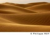 LY000636.jpg