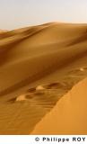 LY000703.jpg