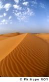 LY000706.jpg