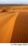 LY000707.jpg