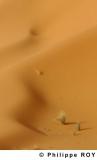LY000710.jpg