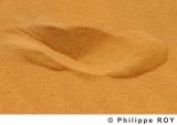 LY000716.jpg
