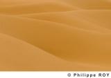 LY000720.jpg