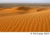 LY000721.jpg