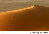 LY000722.jpg