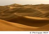 LY000723.jpg