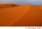 LY000724.jpg