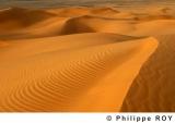 LY000725.jpg
