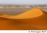 LY000726.jpg